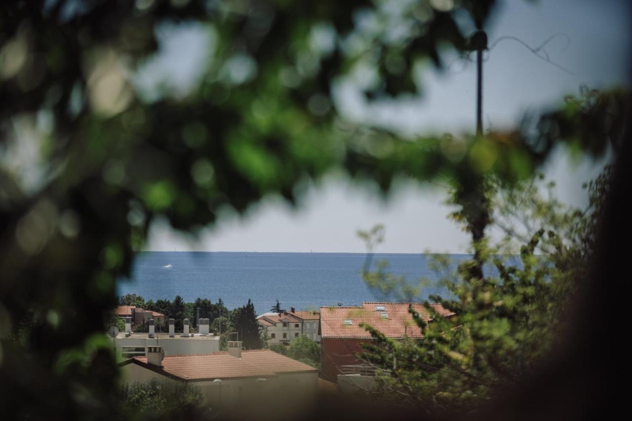 Belvedere Holidays Novigrad Istria Dış mekan fotoğraf